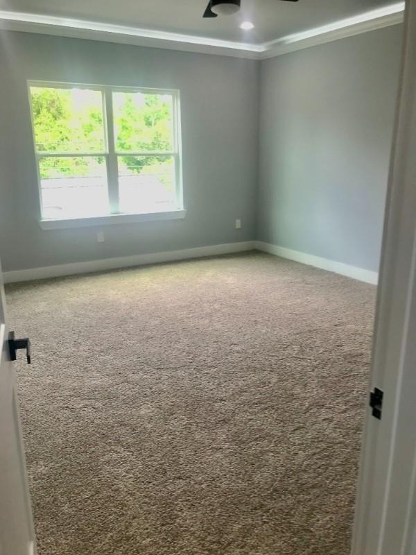 1839 Dewalt Street - Photo 17