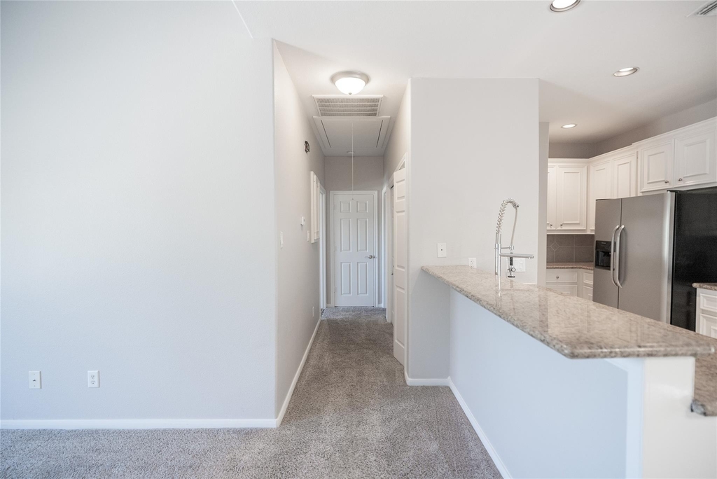 13165 Snow Lane Lane - Photo 7