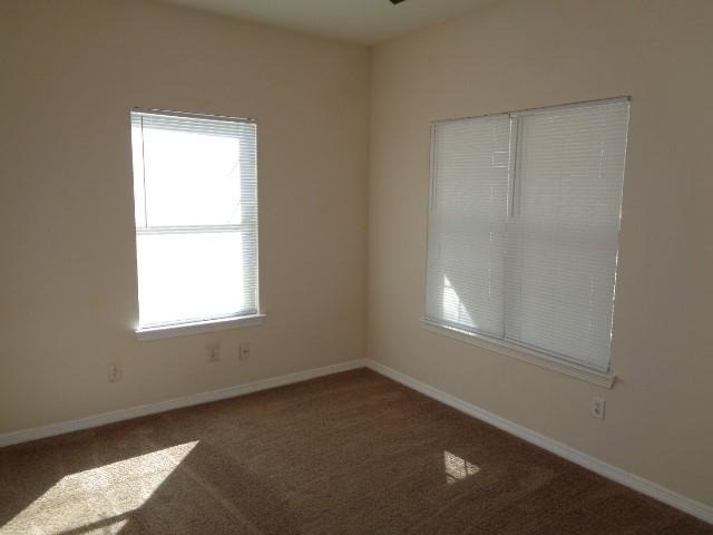 21406 Berry Vine Street - Photo 6