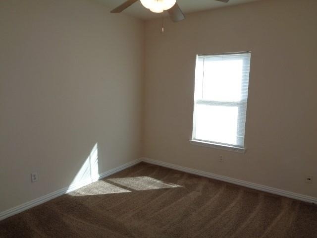 21406 Berry Vine Street - Photo 5