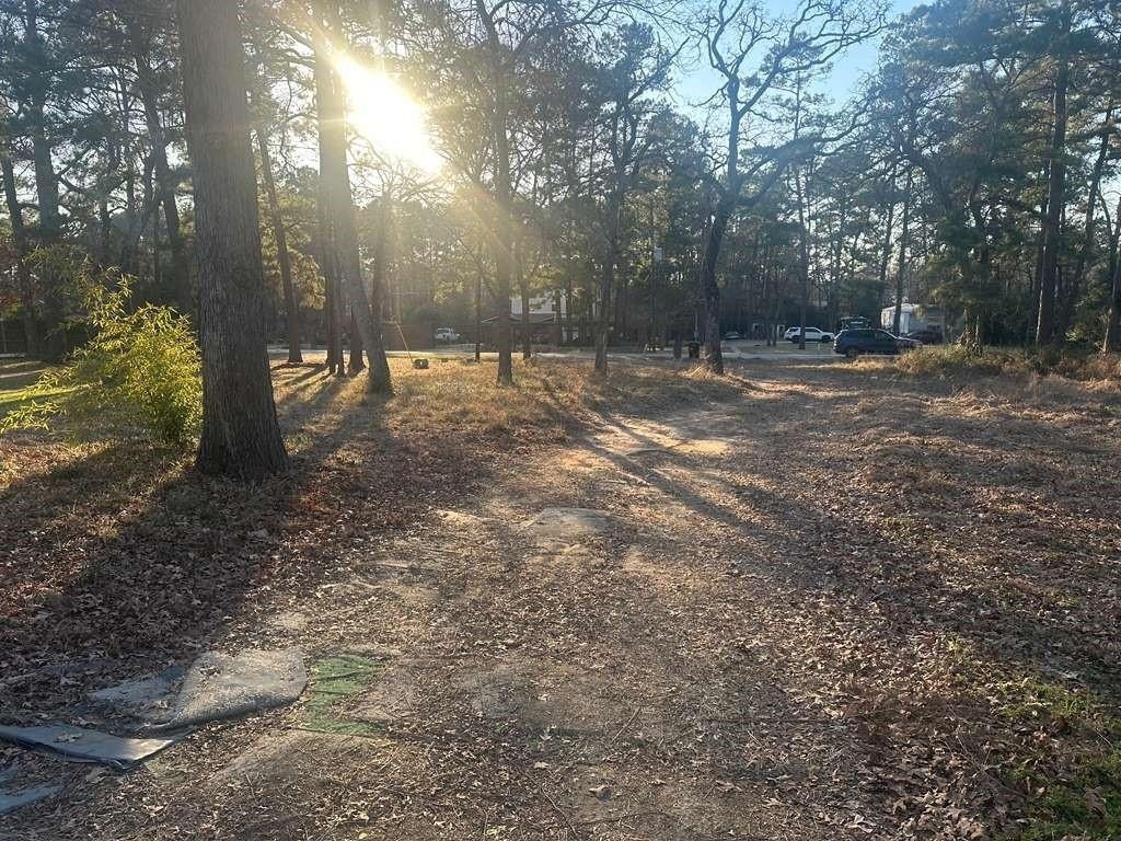 24304 Oak Run - Photo 9