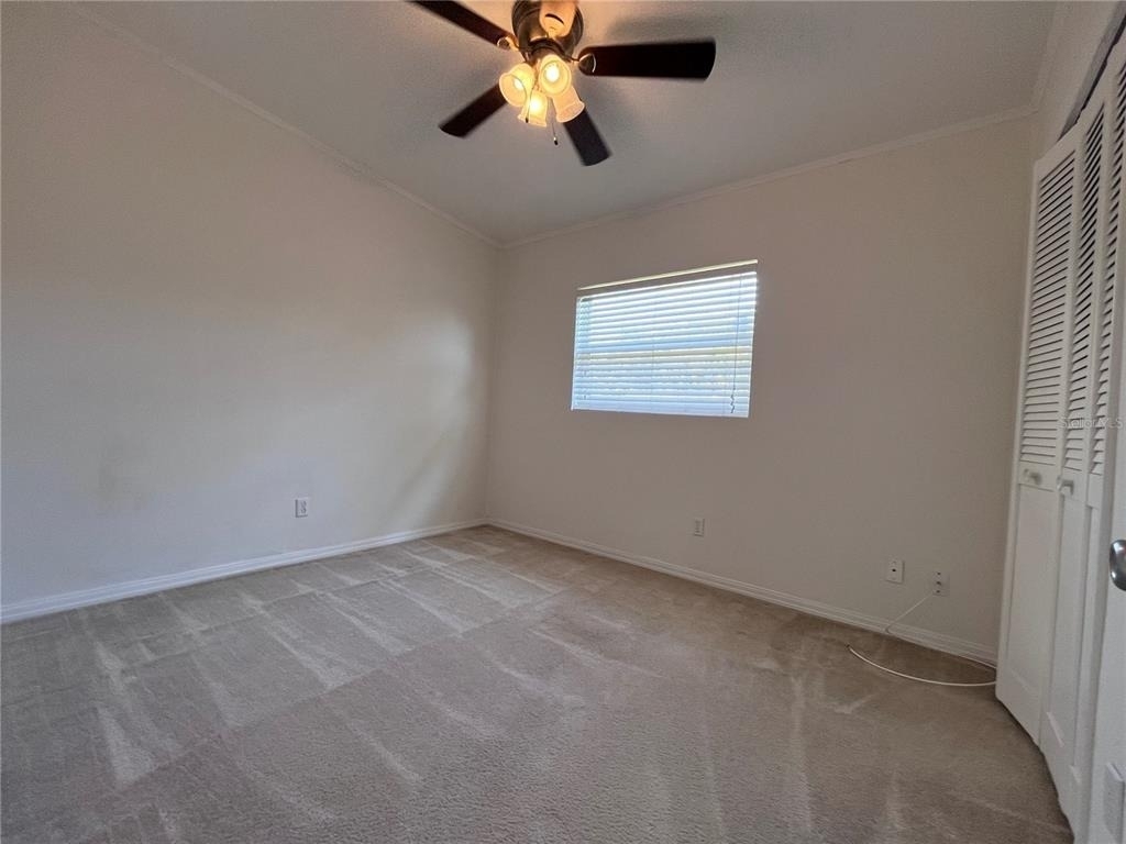 1724 Peruvian Lane - Photo 9