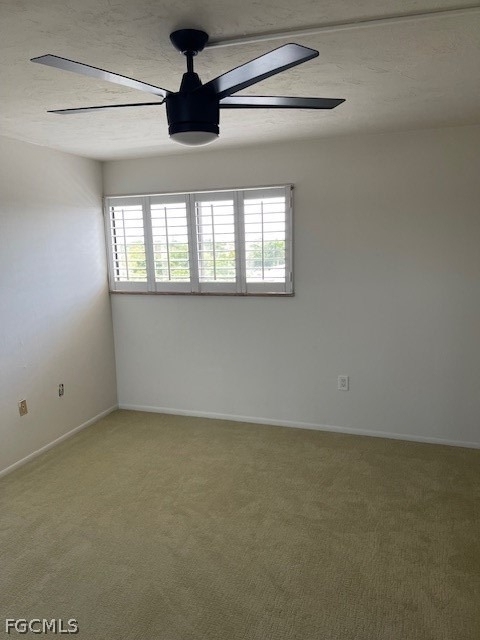 2121 Collier Avenue - Photo 13