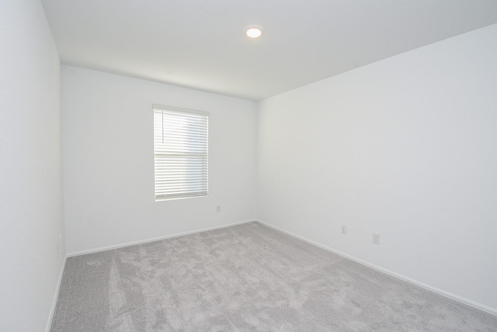 18987 Panzini Dr - Photo 24