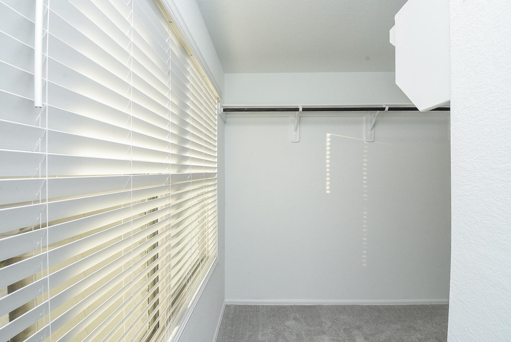 18987 Panzini Dr - Photo 27