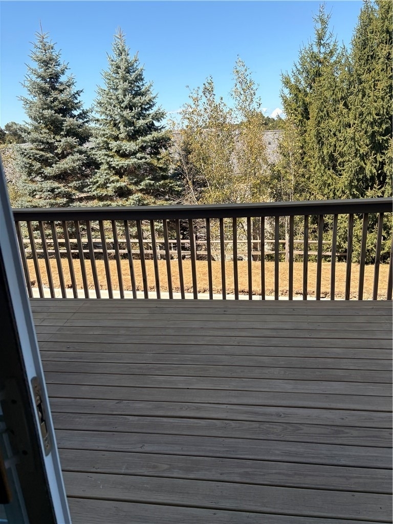 10569 Forest Hill Dr. - Photo 10