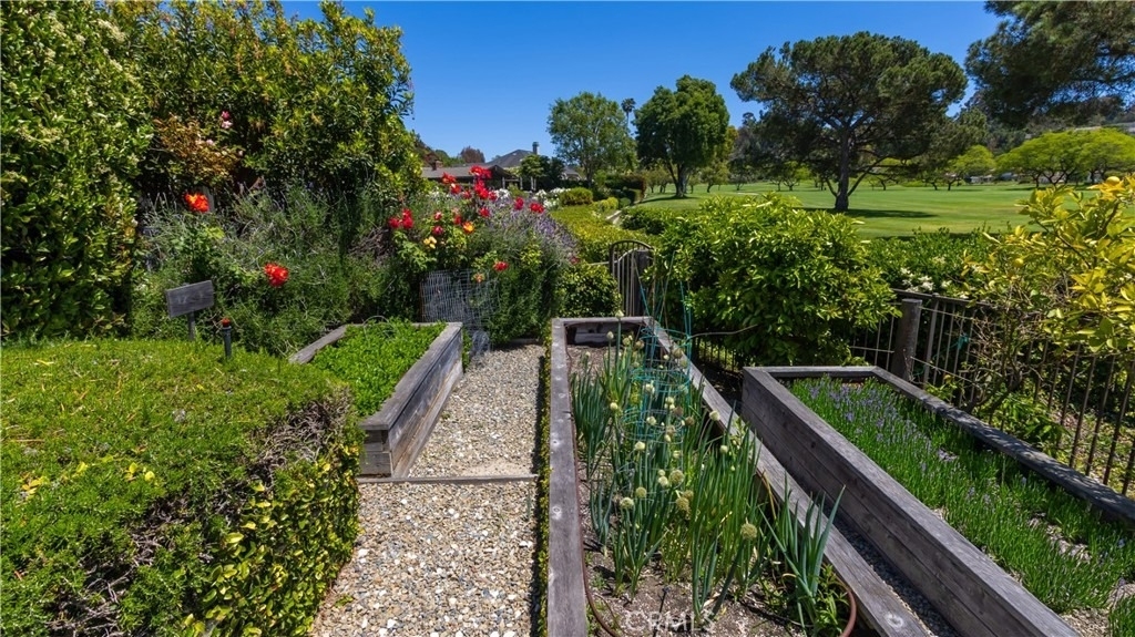 30421 Mirador Court - Photo 57