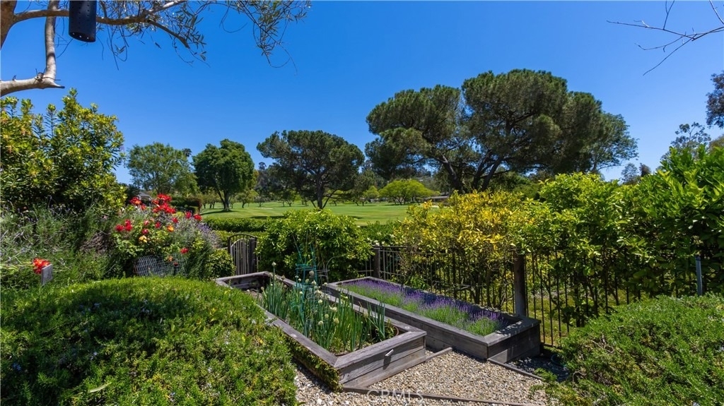 30421 Mirador Court - Photo 56