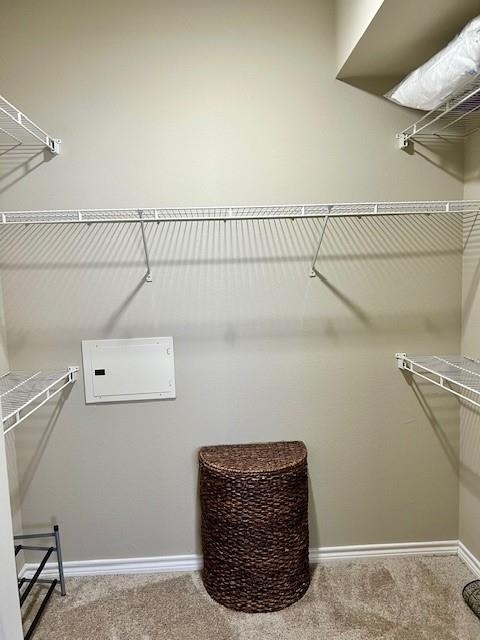 2400 Mccue Road - Photo 13