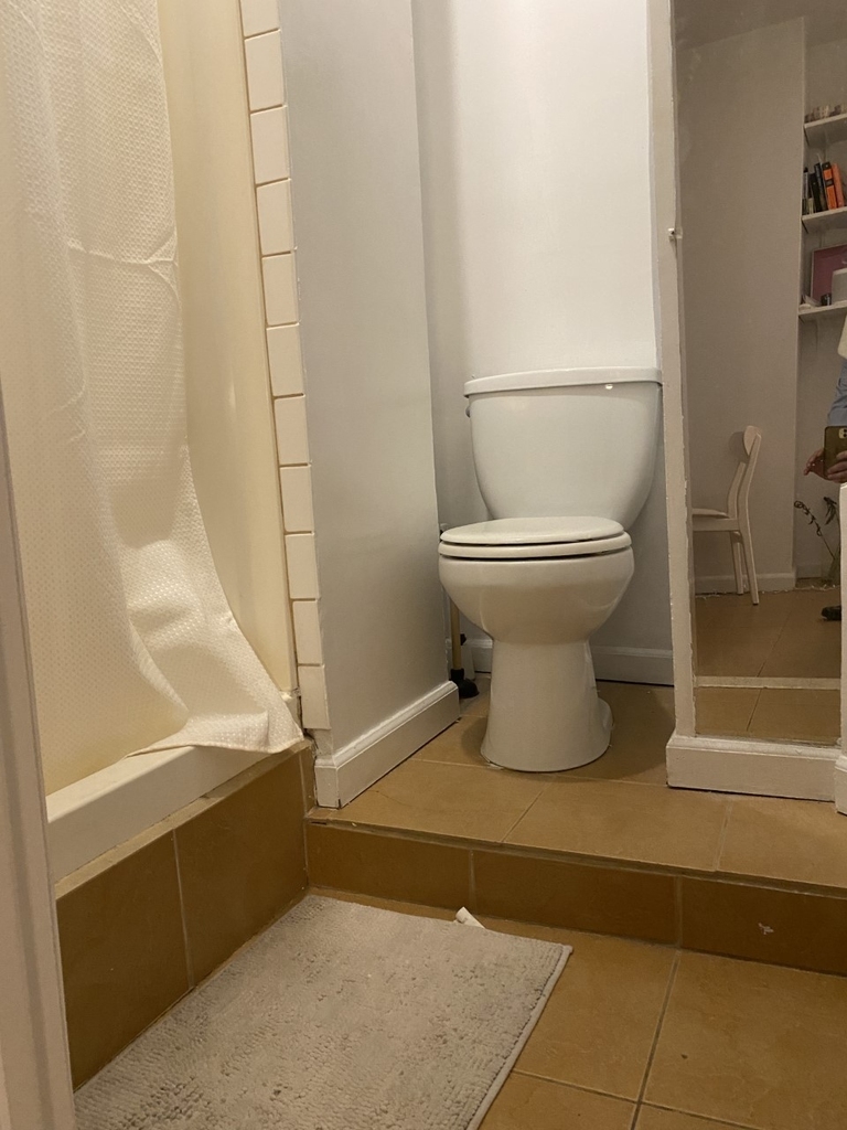 223 Bleecker Street - Photo 4