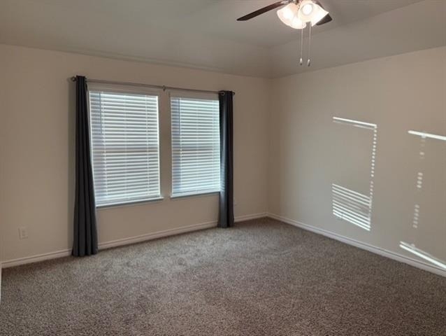 1412 Chestnut Cove Drive - Photo 14