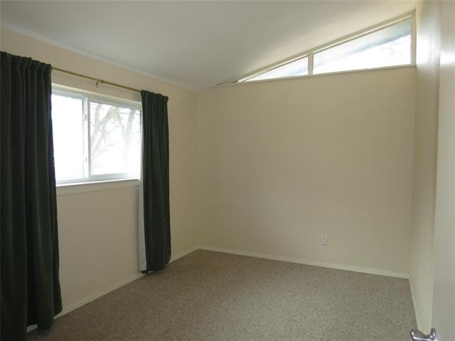 10505 Swallow Lane - Photo 15