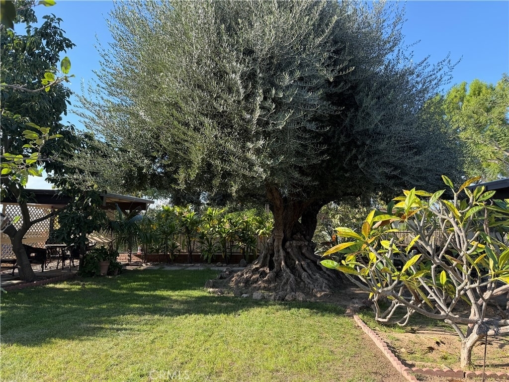 3590 Buchanan Street - Photo 66