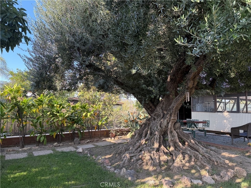 3590 Buchanan Street - Photo 70