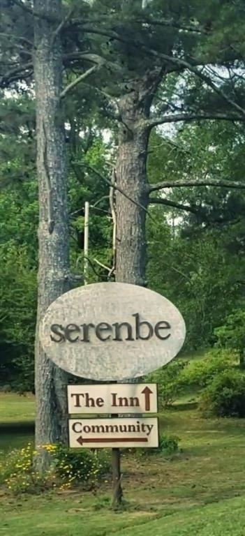 10671 Serenbe Lane - Photo 38