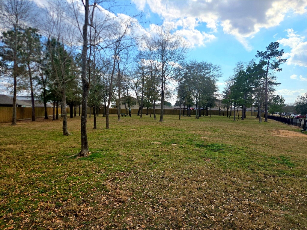 21907 Gallagher Pines Lane - Photo 23