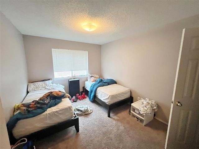 112 Walnut Lane - Photo 11
