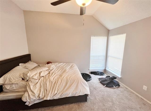 112 Walnut Lane - Photo 14