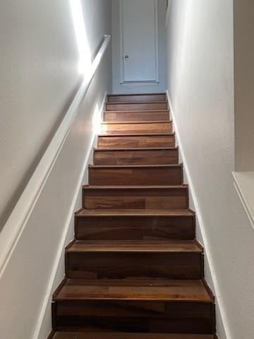 3805 Brandon Park Drive - Photo 7