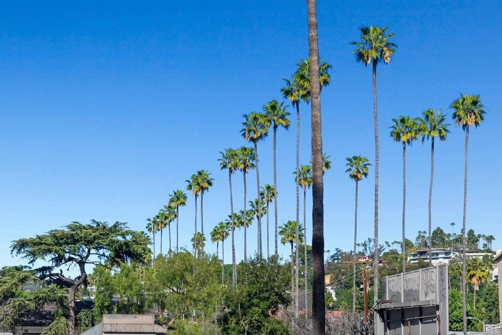 5750 Hollywood Boulevard - Photo 24