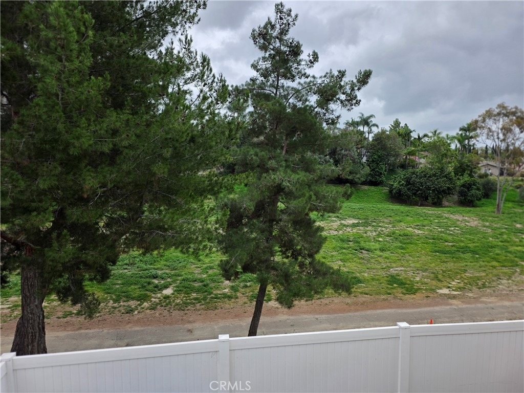 26296 Los Viveros - Photo 11