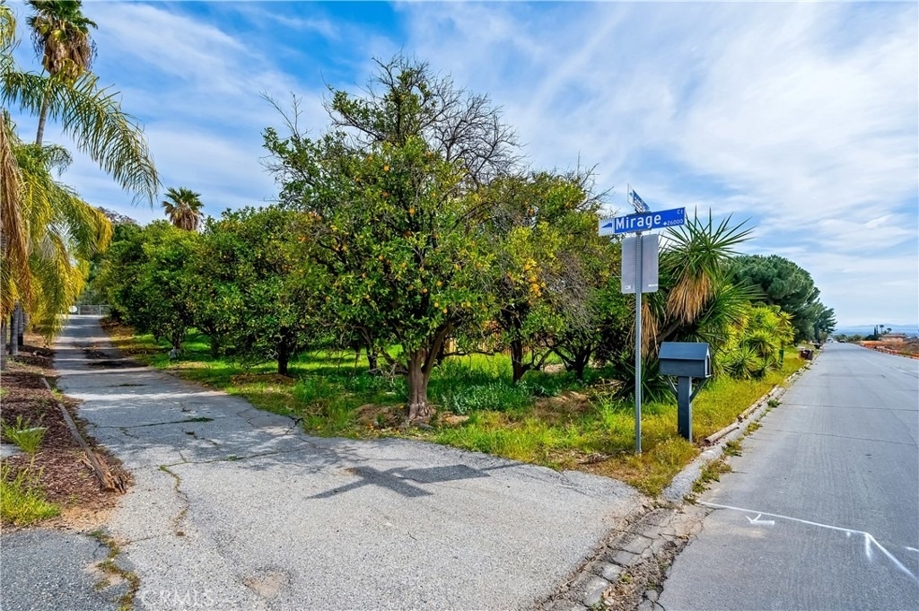 11760 Lasselle Street - Photo 38