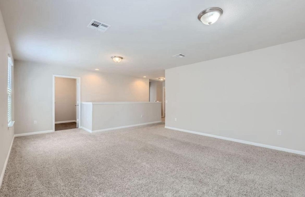 324 Sandhill Piper St - Photo 11