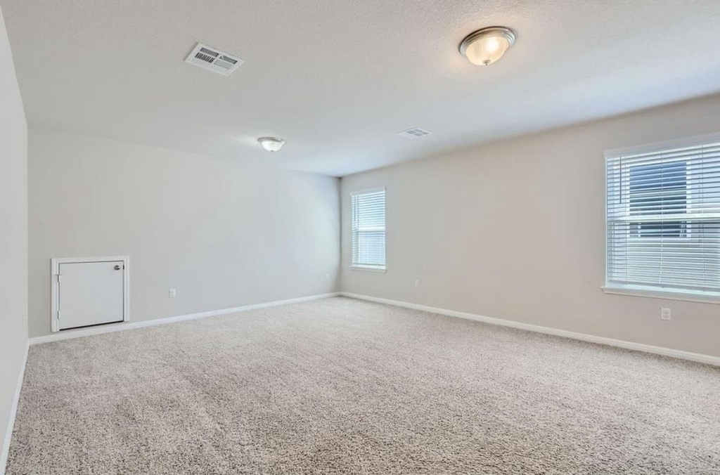 324 Sandhill Piper St - Photo 18