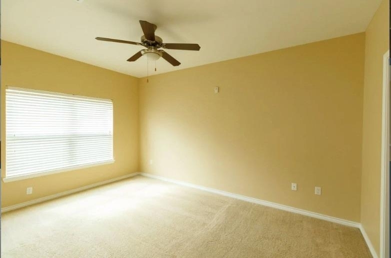 8275 Stonebrook Pkwy - Photo 12