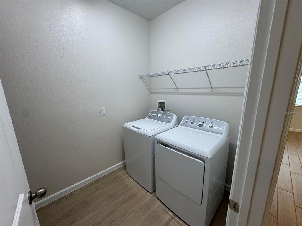 342 Lady Palm Street - Photo 6