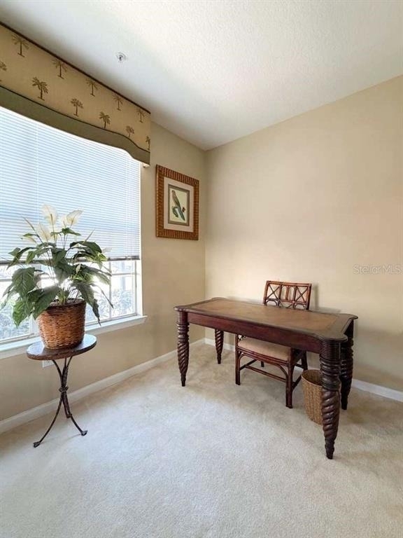 12843 Madison Pointe Circle - Photo 8