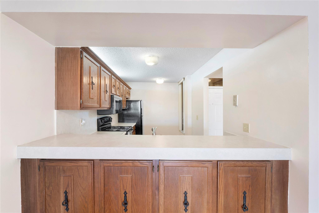 6519 Coral Lake Drive - Photo 1