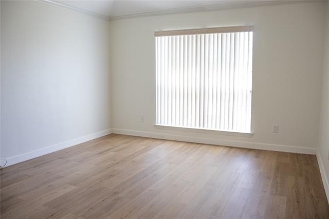 10305 Bent Tree Drive - Photo 14