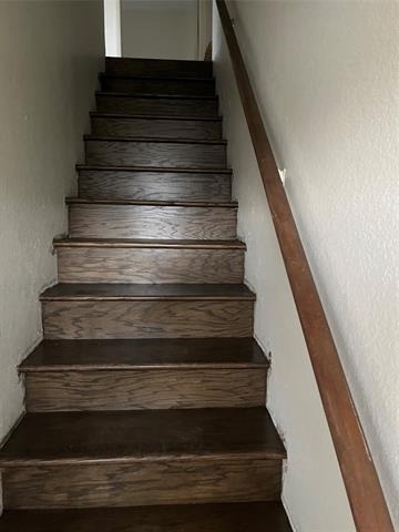 803 Bluebonnet Drive - Photo 4