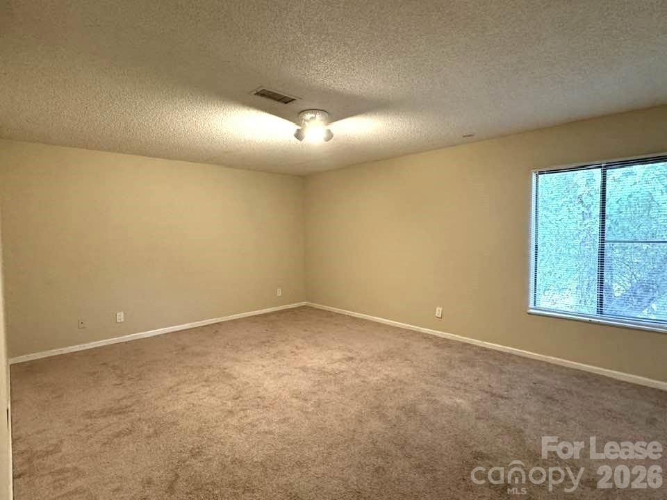722 Mallard Head Lane - Photo 11