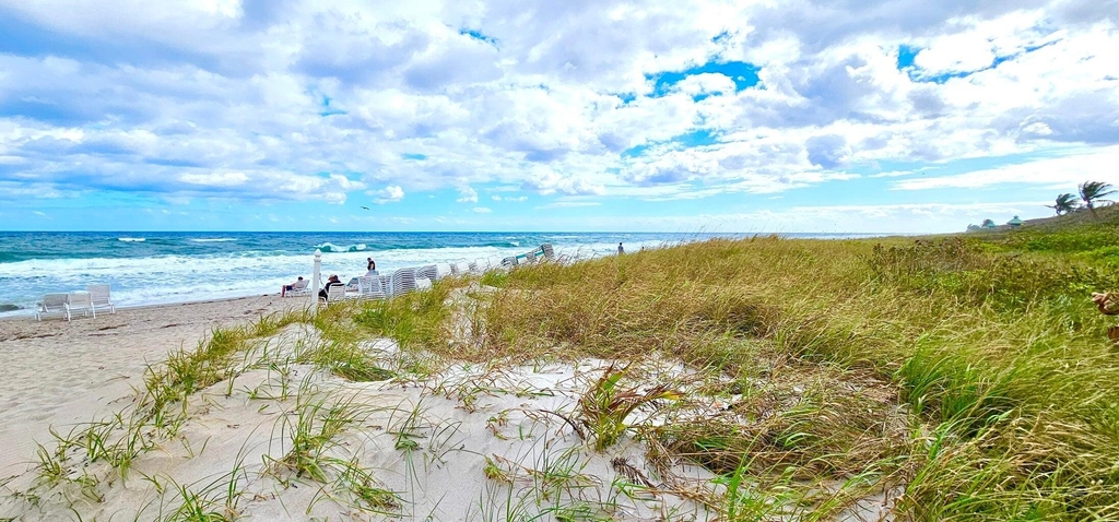 4201 N Ocean Boulevard - Photo 46