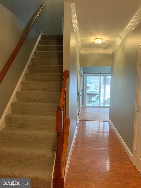 3301 Castle Ridge Circle - Photo 1