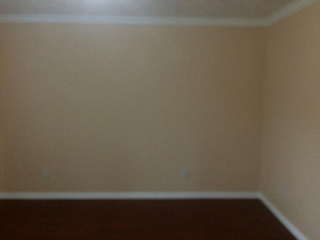 16826 Rippling Mill Drive - Photo 10