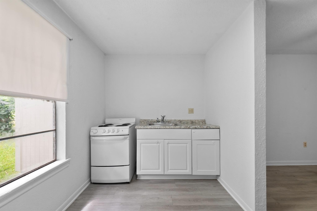 806 East Emily Avenue - Photo 9