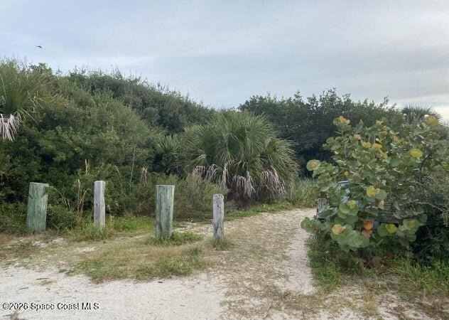 6201 Treetop Drive - Photo 14