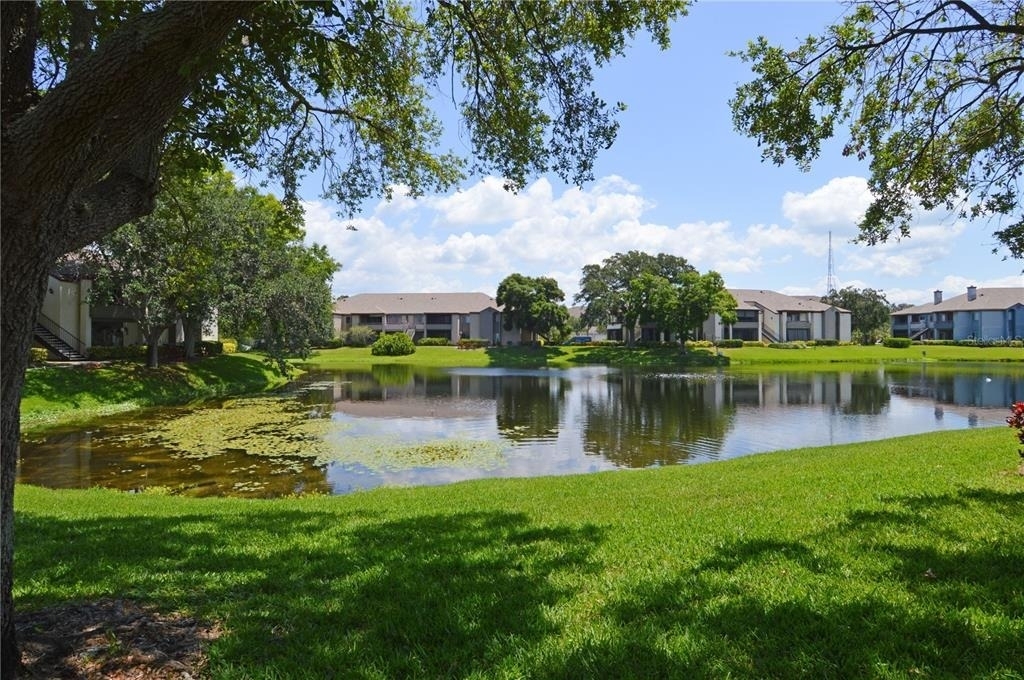 10265 Gandy Boulevard N - Photo 48