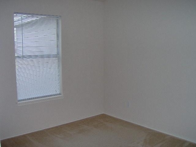 5413 Soledad Drive - Photo 11