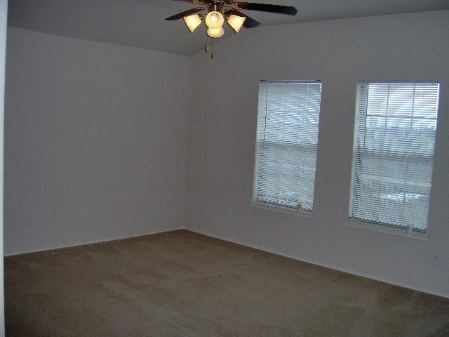 5413 Soledad Drive - Photo 9