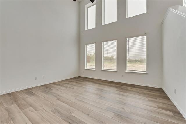 9925 Little Tree Lane - Photo 4