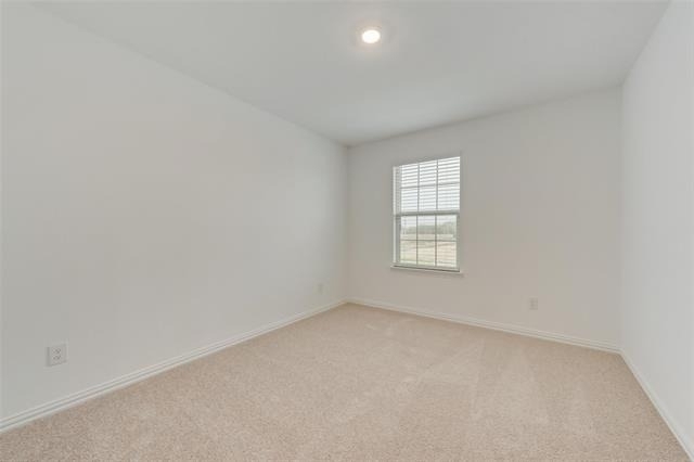 9925 Little Tree Lane - Photo 9