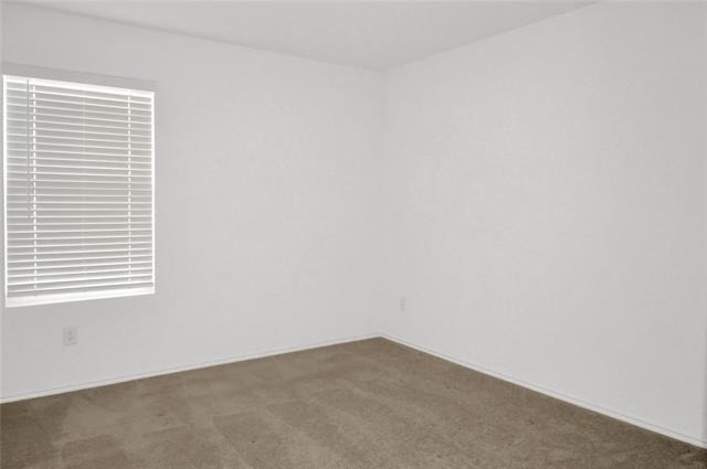 3604 Esperanza Street - Photo 10