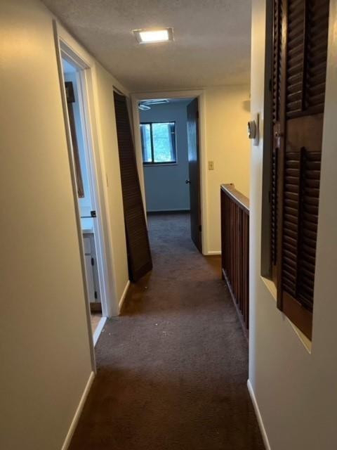 5922 Thomas Street - Photo 4