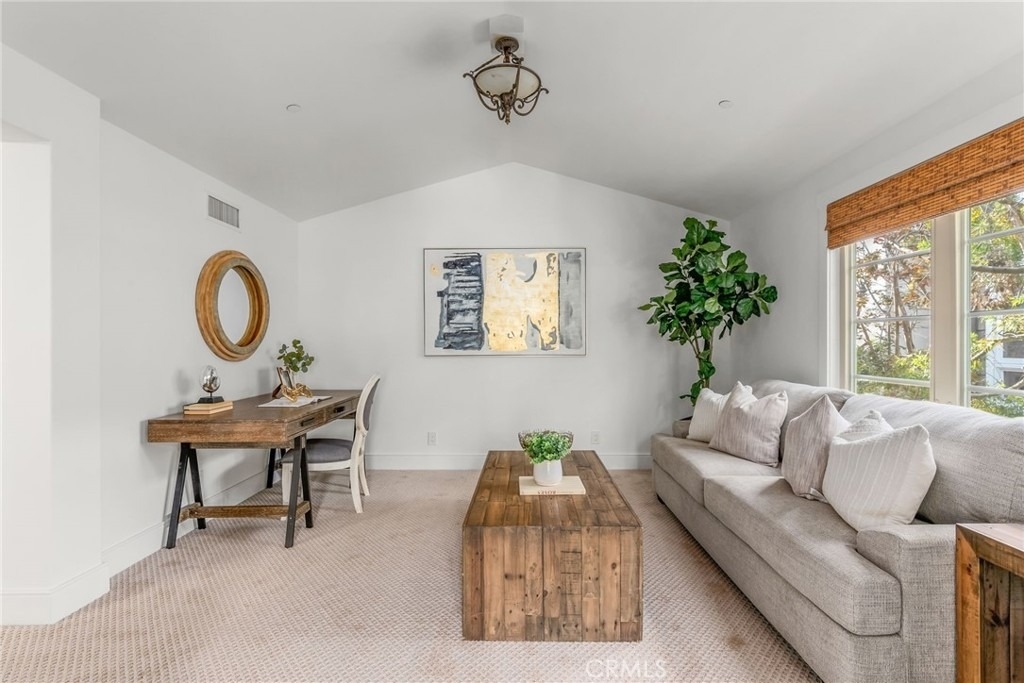 35002 Camino Capistrano - Photo 47