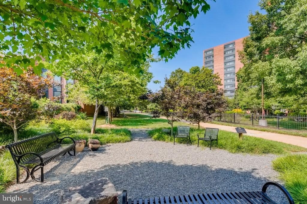 1435 Bolton Street - Photo 11