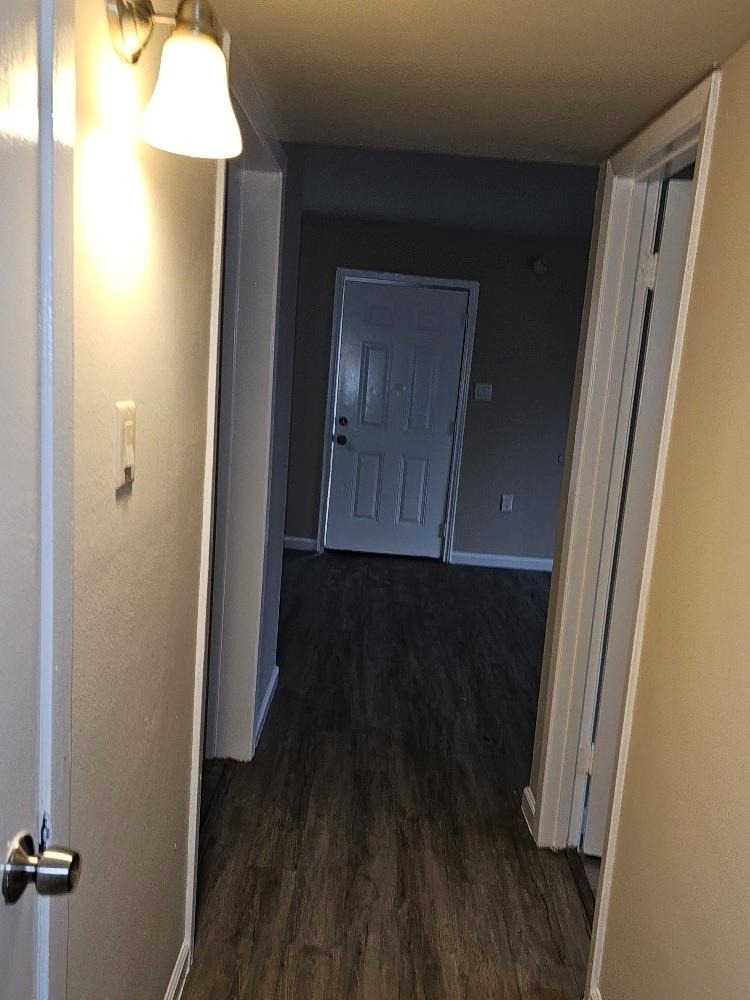 6815 Beachwood Street - Photo 13